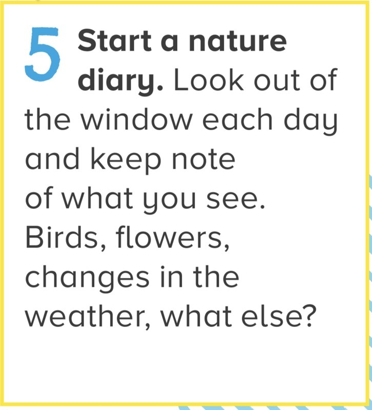 Image of Challenge 5 - Nature Diary