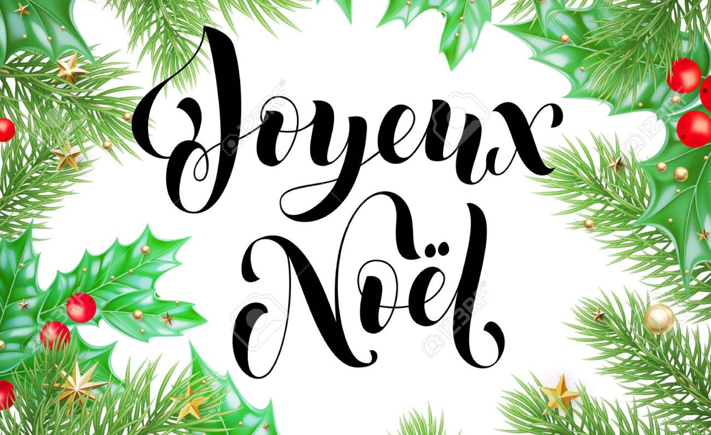 Image of Joyeux Noël!