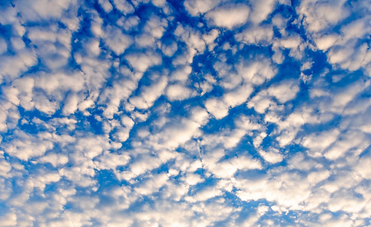 Image of Cloudspotting