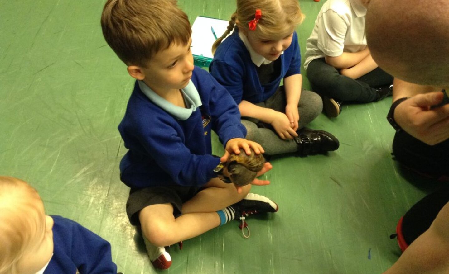 Image of The children aren’t the only ‘mini beasts’ in Nursery this week!